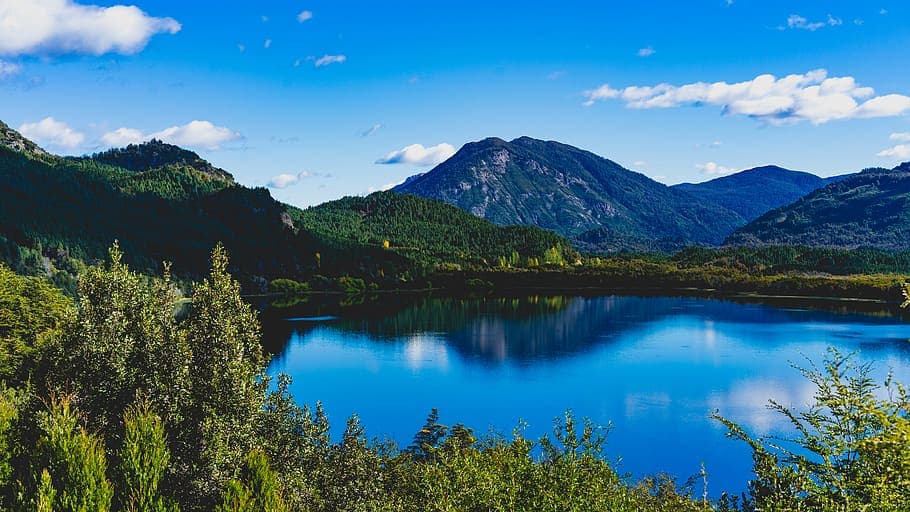 Lago patagónico rodeado de bosque y montañas